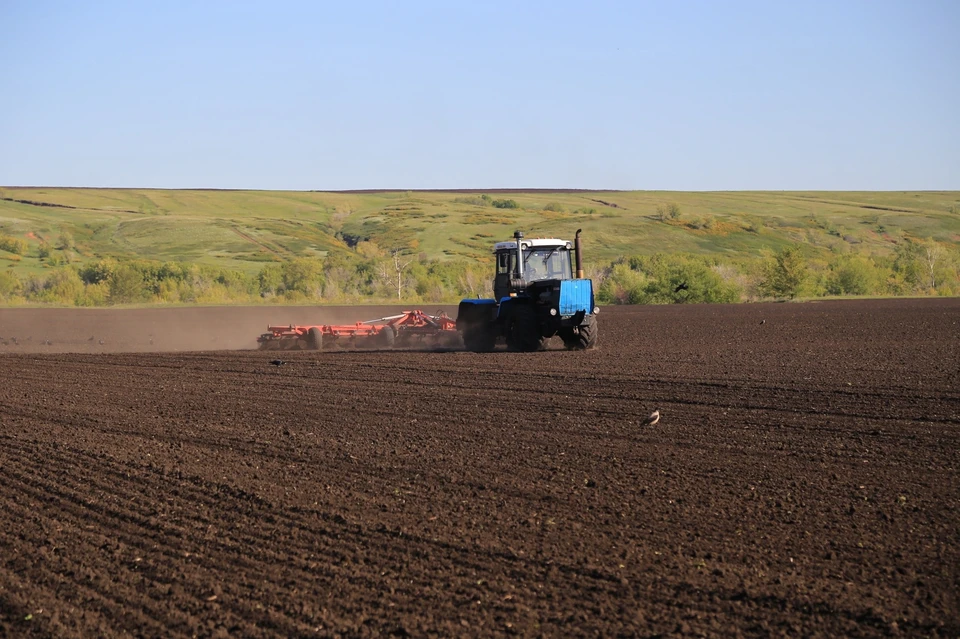 В Самарской области выросло число аграриев, которые переходят с классики на технологию нулевой обработки. Фото: минсельхоз региона
