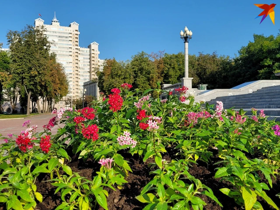 Узнали о вакансиях на подработку в Беларуси в мае 2024 года. Фото: архив, носит иллюстративный характер.