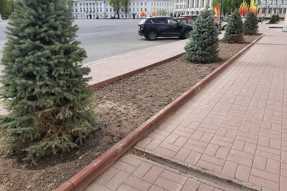 Бордюр перегородил водосливные желоба в тротуаре. ФОТО: Дмитрий Колчин