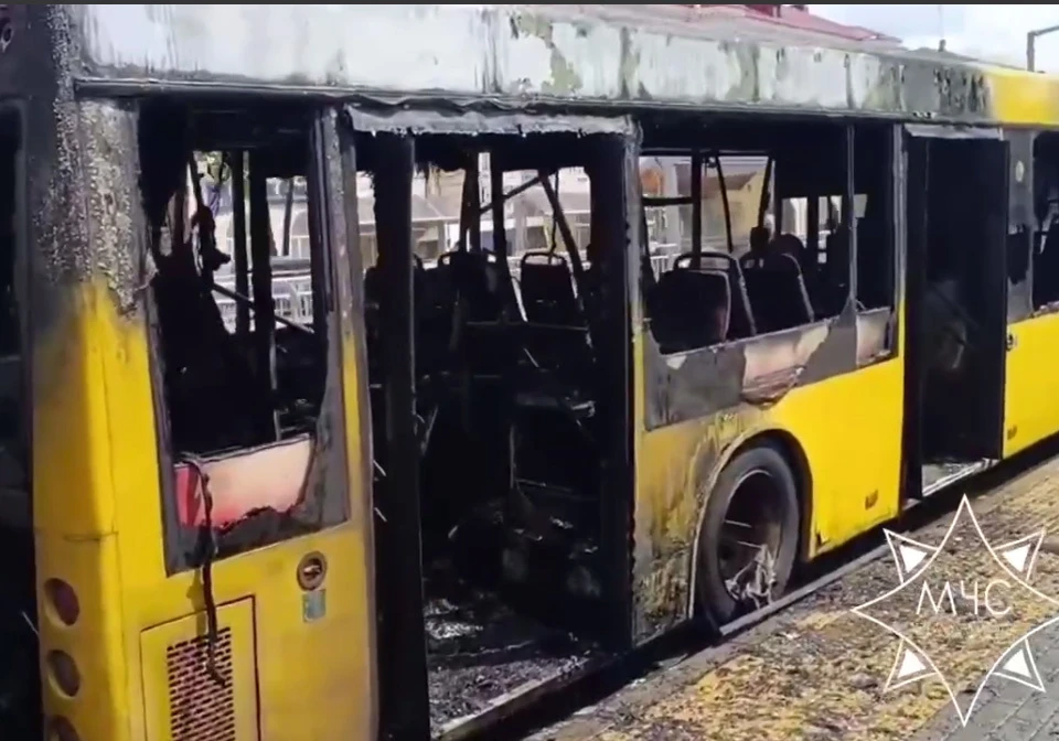 Никто не пострадал. Фото: кадр видео МЧС Беларуси