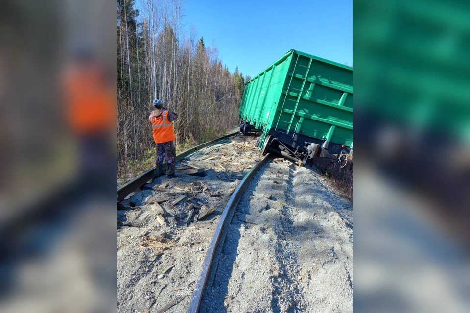 Фото: пресс-служба Центрального МСУТ СК