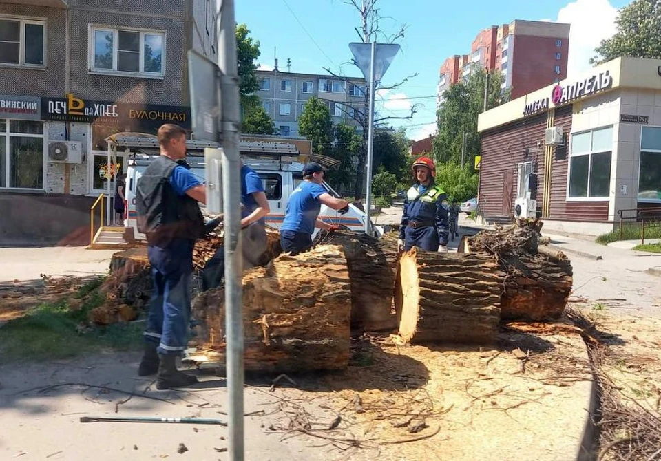 В Туле на перекрестке улиц Калинина и Замочной упало старое дерево