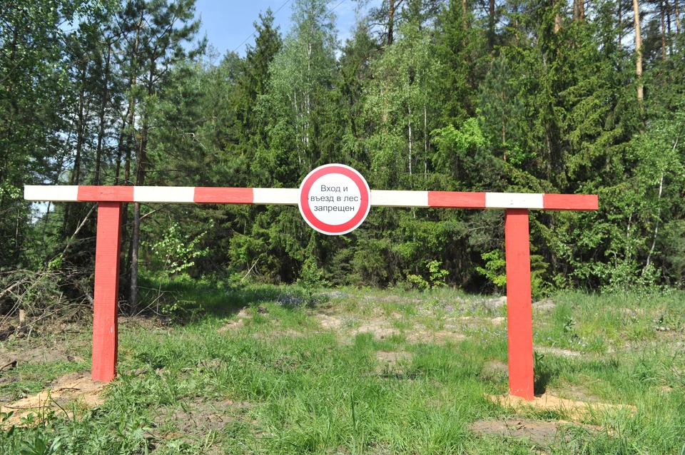 В Самарской области объявлено штормовое предупреждение