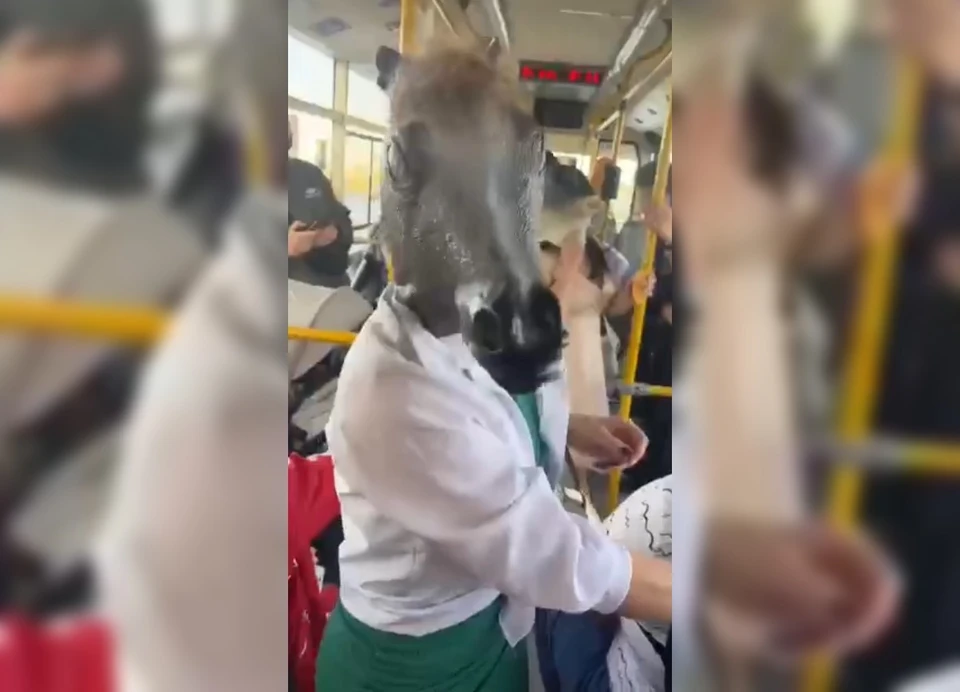 Девушки развеселили окружающих. Фото: кадр видео Александр Мандрыкин/ Черный список СЕВАСТОПОЛЬ/Вк