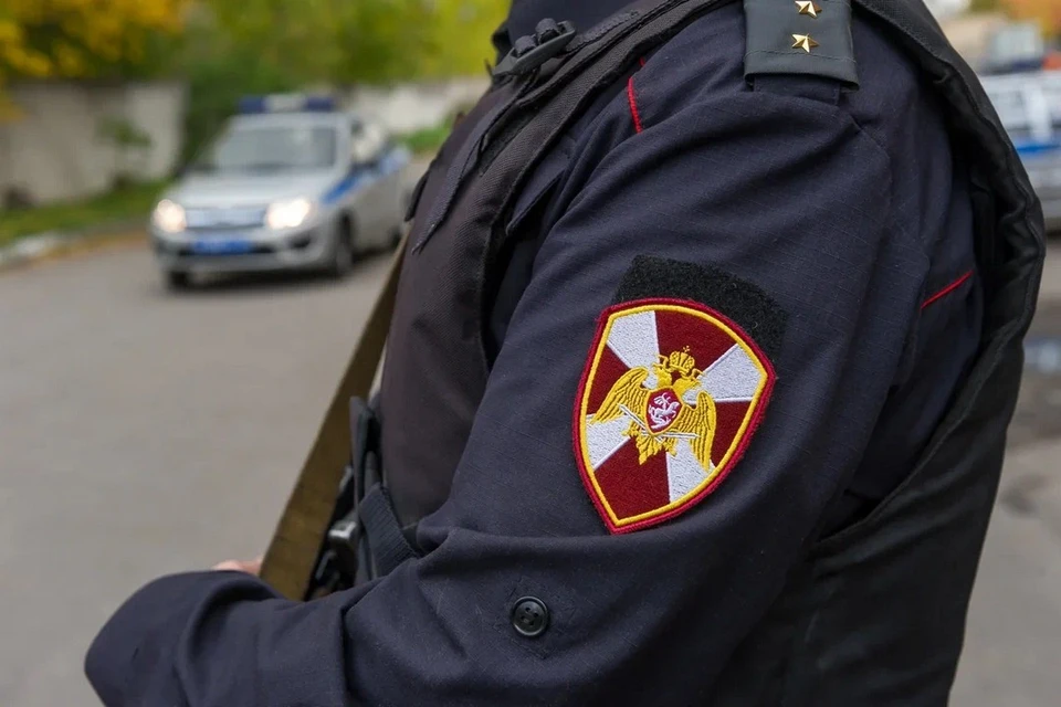 Жителя Петербурга осудили за избиение росгвардейца и сразу освободили из-под стражи.