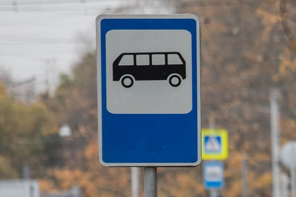 Автобусы №117 будут останавливаться в Зверинцах.