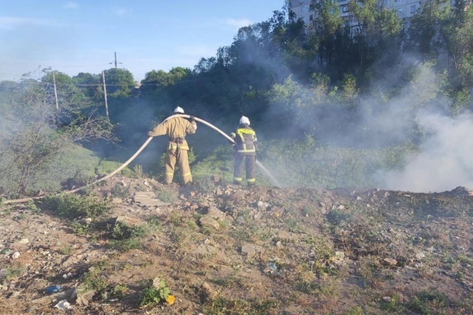 28 мая в ЛНР на 49 природных пожарах выгорело в общей сумме 77 гектаров сухостоя, камыша, кустарника и мусора. Фото - МЧС ЛНР