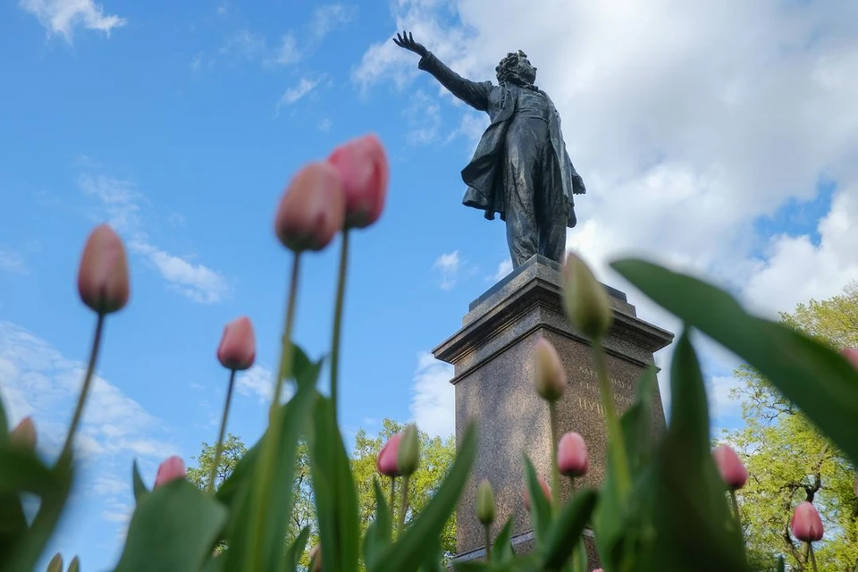 День рождения Пушкина в Новосибирске отметят масштабным арт-проектом.