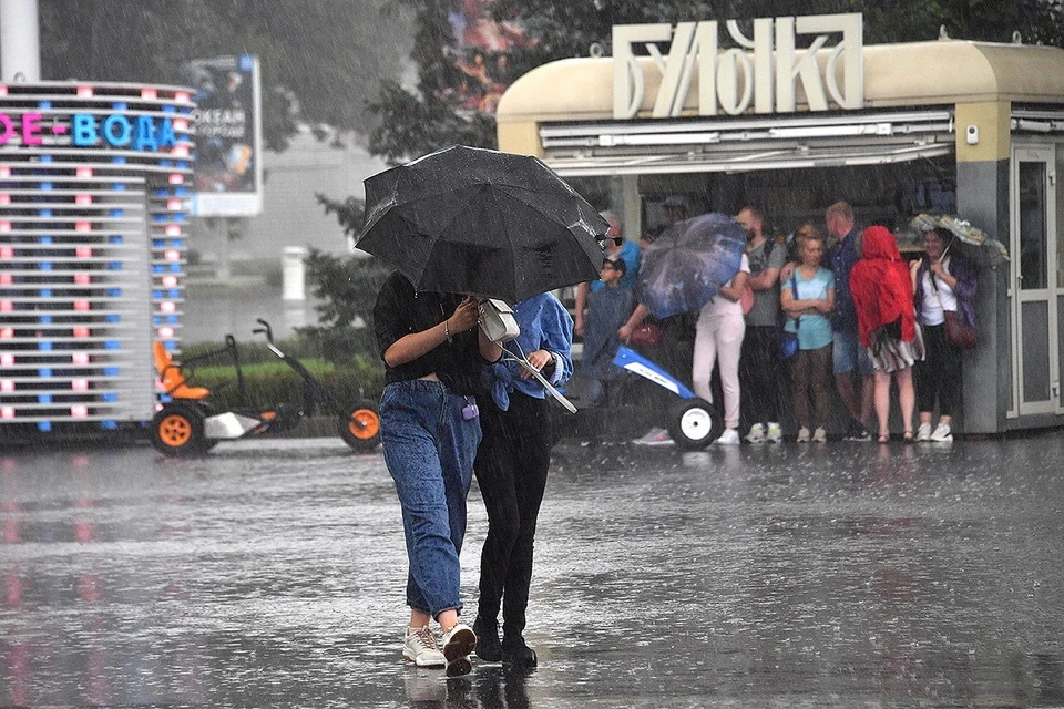 В Москве с 12:00 и до конца дня ожидается кратковременный дождь с грозой