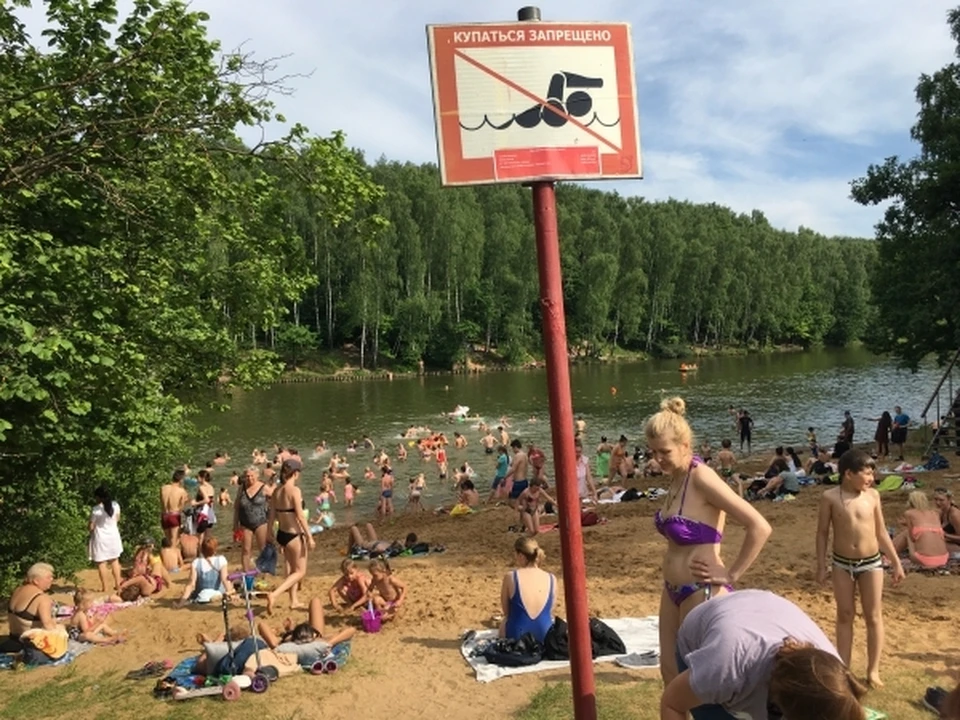 Мэрия Смоленска просит воздержаться от купания в пруду парка "Соловьиная роща".