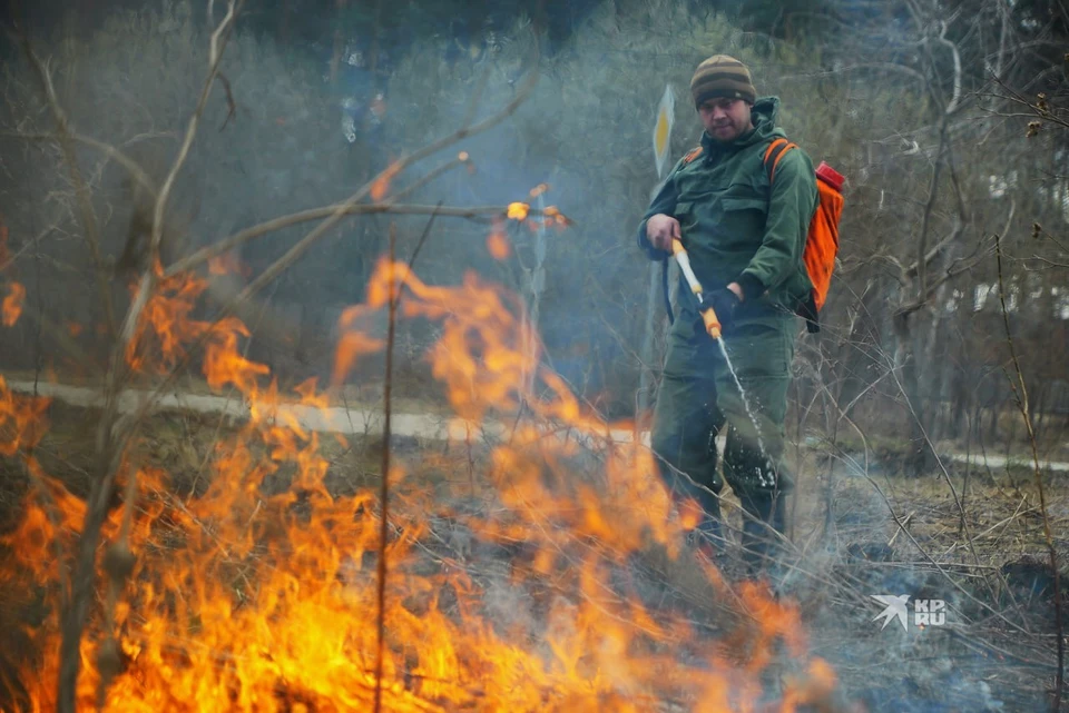 Лесные пожары зафиксированы в районе Ревды и города Реж