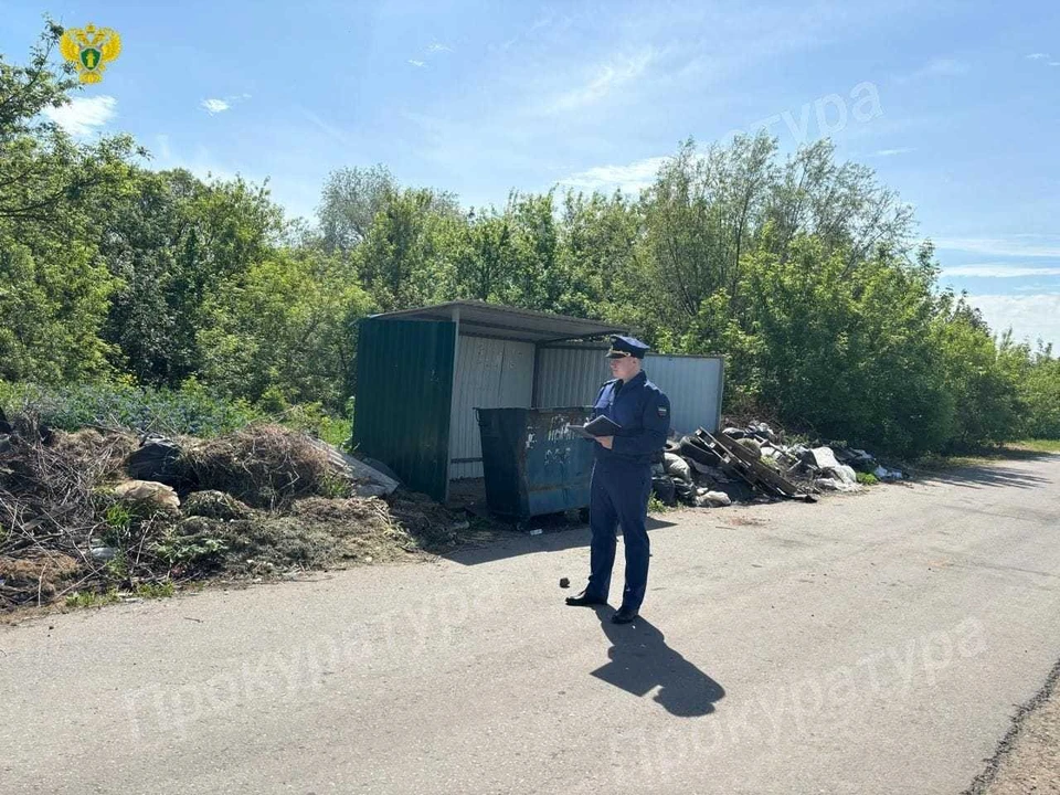 Прокуратура помогла ликвидировать четыре свалки в Тепло-Огаревском районе Тульской области