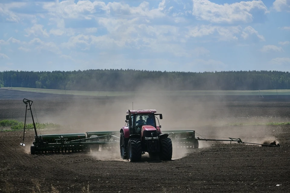 Министр сельского хозяйства Новосибирской области может уйти в отставку