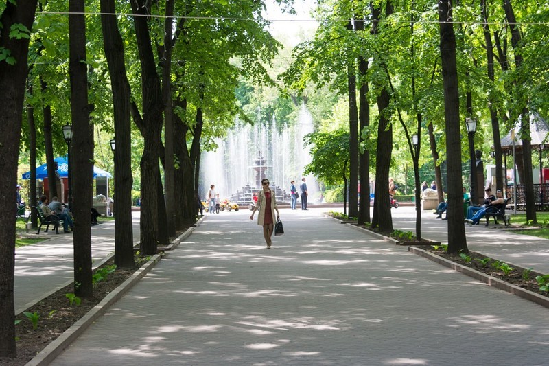 Фото: соцсети