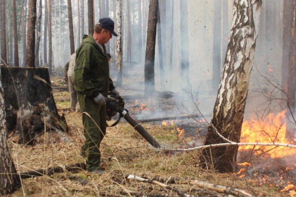 Один пожар в лесах Иркутской области потушили в выходные.