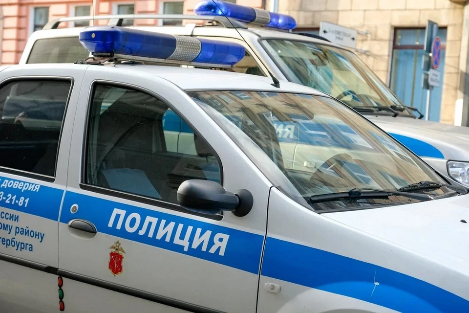 Полиция Петербурга проверит инцидент с автоледи, не уступившей дорогу скорой помощи.