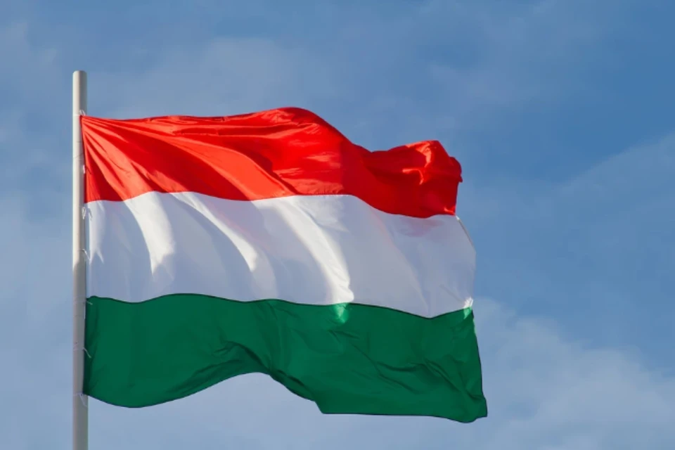 FT: страны Бухарестской девятки хотят исключить Венгрию из своих будущих встреч