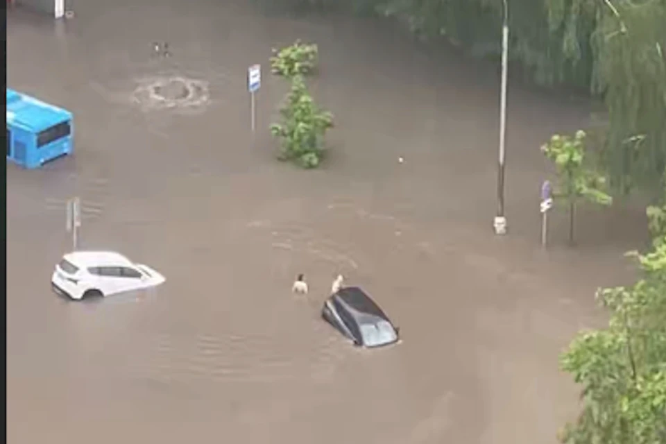 На Клязьминской улице в Москве утонул автобус Фото: стоп-кадр из видео