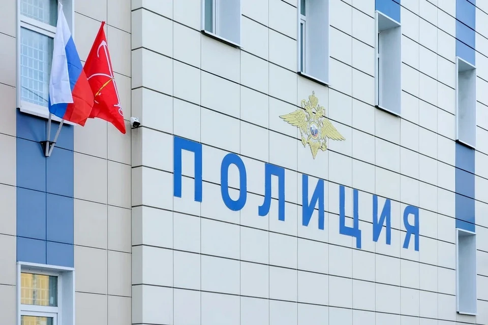 Полицейские Петербурга задержали восемь интернет-мошенников, обманувших сотни россиян.