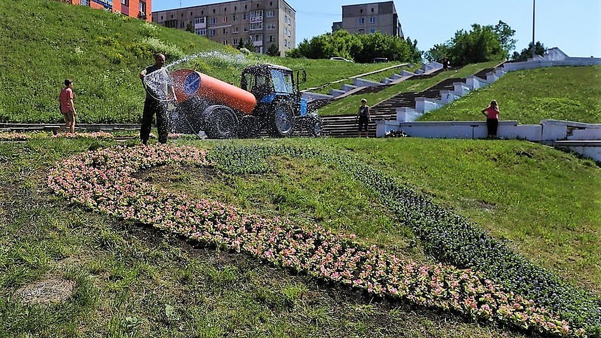 В Кемерове выросло сердце из 800 цветов - KP.RU