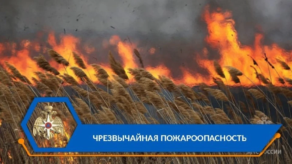 Кроме того 18 июня воздух в Астраханской области прогреется до +38 градусов