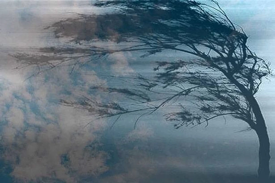 Сносит ветром. Человека уносит ветром. Сильный ветер. Сносит ветром. Якушев ветер уносит.