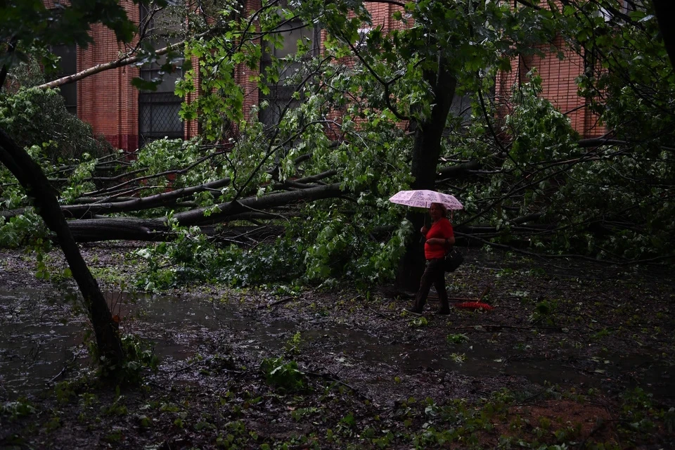 Городские службы Москвы ликвидируют последствия непогоды