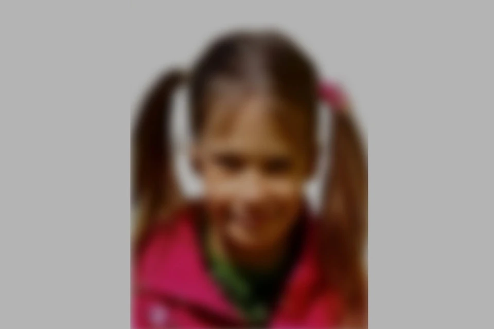 В Новосибирске завершены поиски 8-летней девочки с розовой челкой. ПСО «ЛизаАлерт НСО»