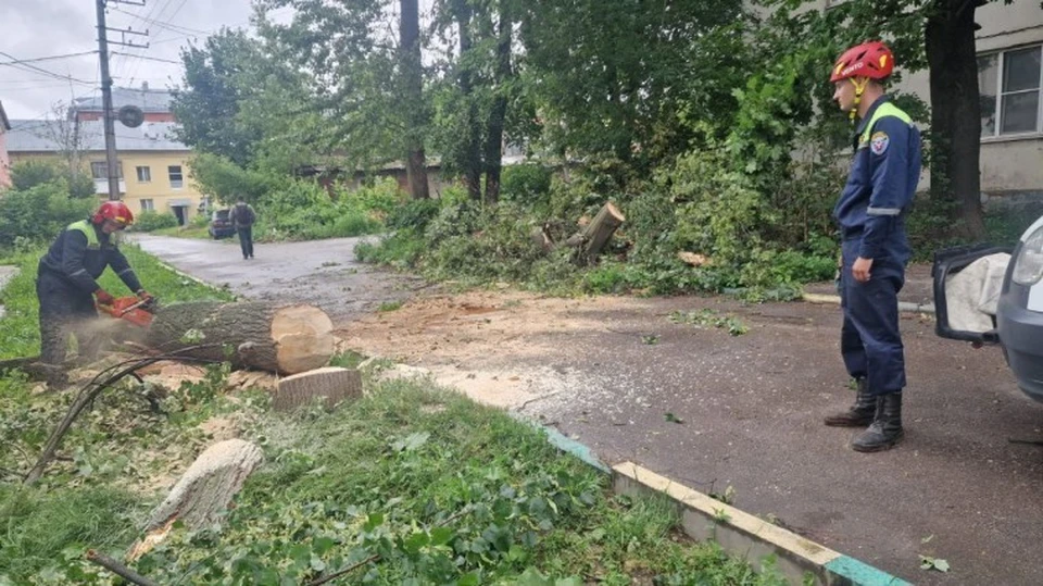 В Туле ураган «Эдгар» повалил десятки деревьев