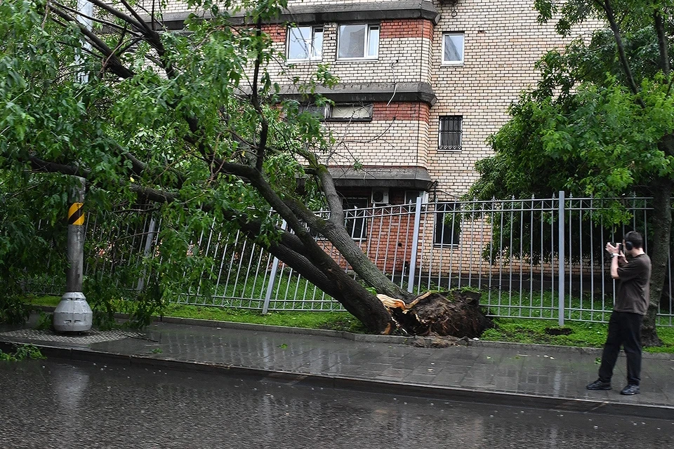 Синоптик Леус: Смерчи в Москве будут случаться все чаще