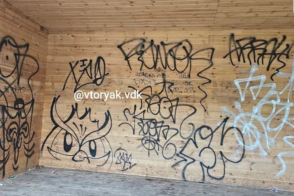 Результаты "художеств". Фото: @vtoryak.vdk