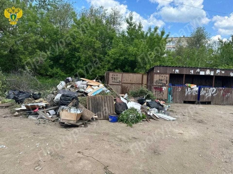 Незаконные свалки обнаружили в Щекинском и Киреевском районах Тульской области