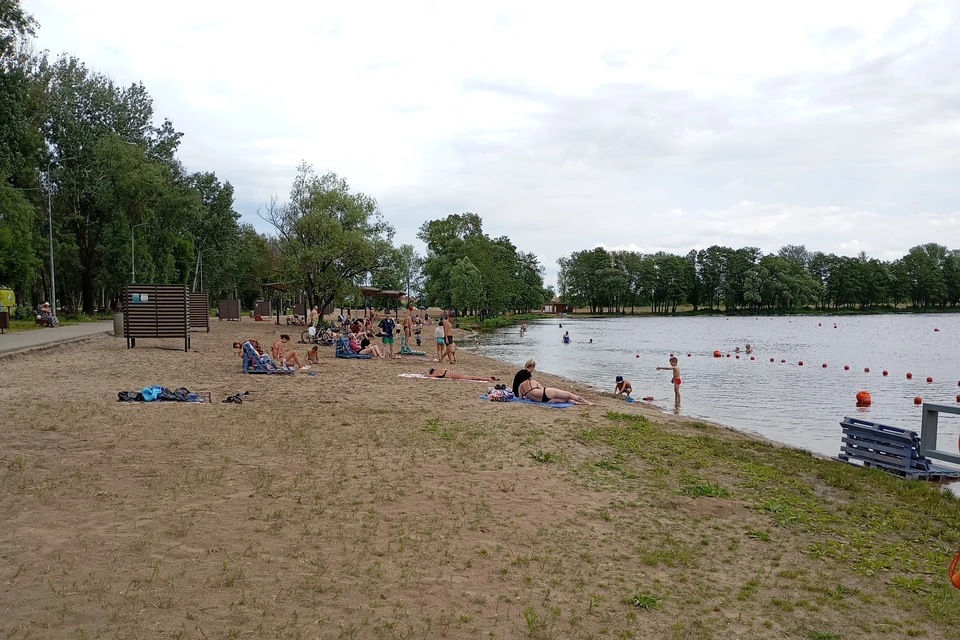 Центральный пляж Липецка закрыли после взятия проб воды из реки Воронеж