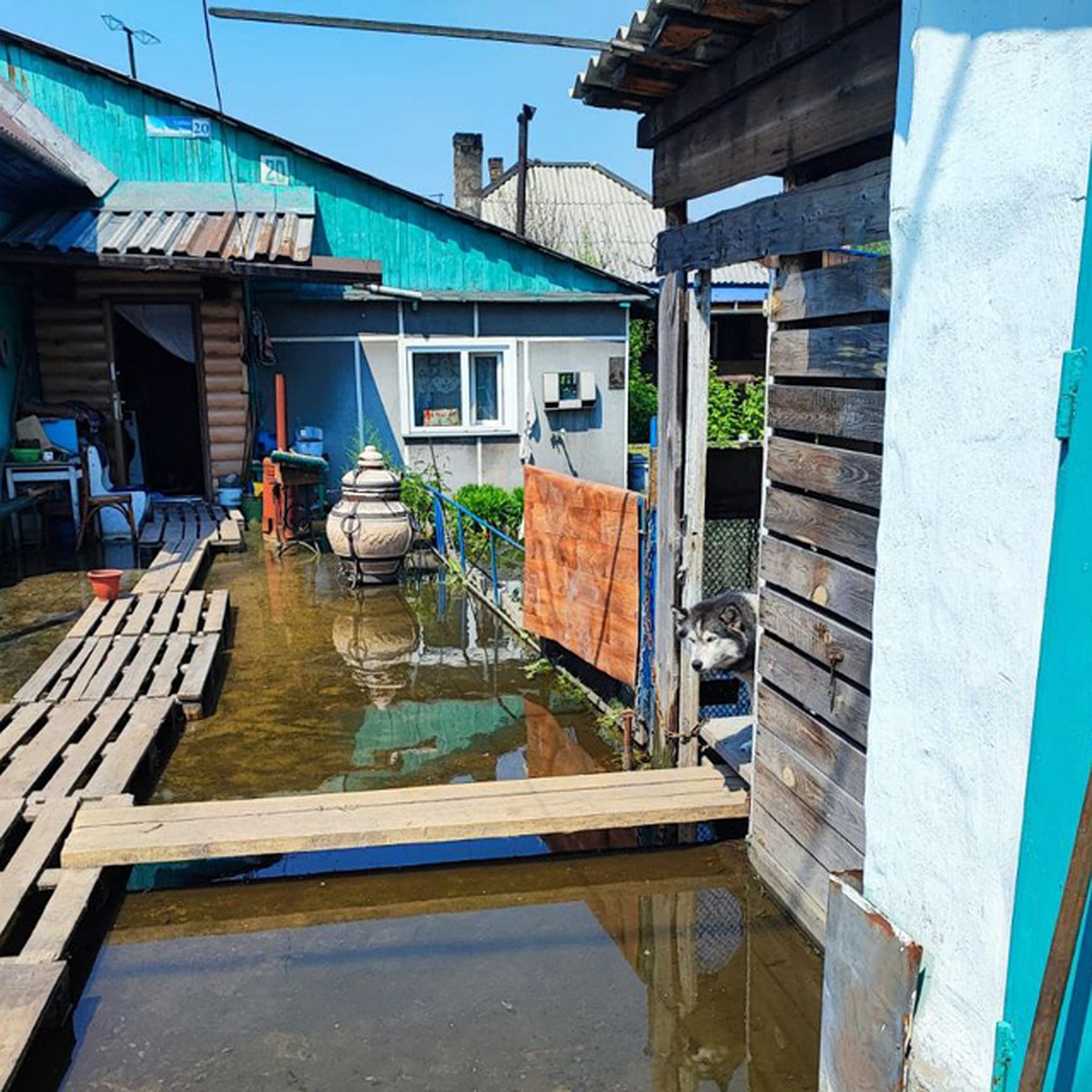 В Новокузнецке из-за повышения уровня воды в Томи затоплены 56 улиц - KP.RU