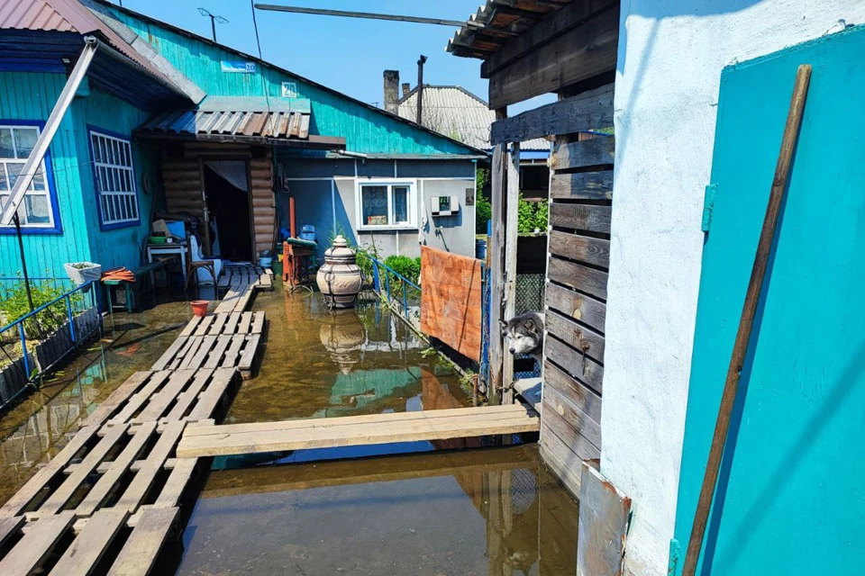 Вода стоит на участках новокузнечан с начала лета. Фото: телеграм-канал Сергея Кузнецова