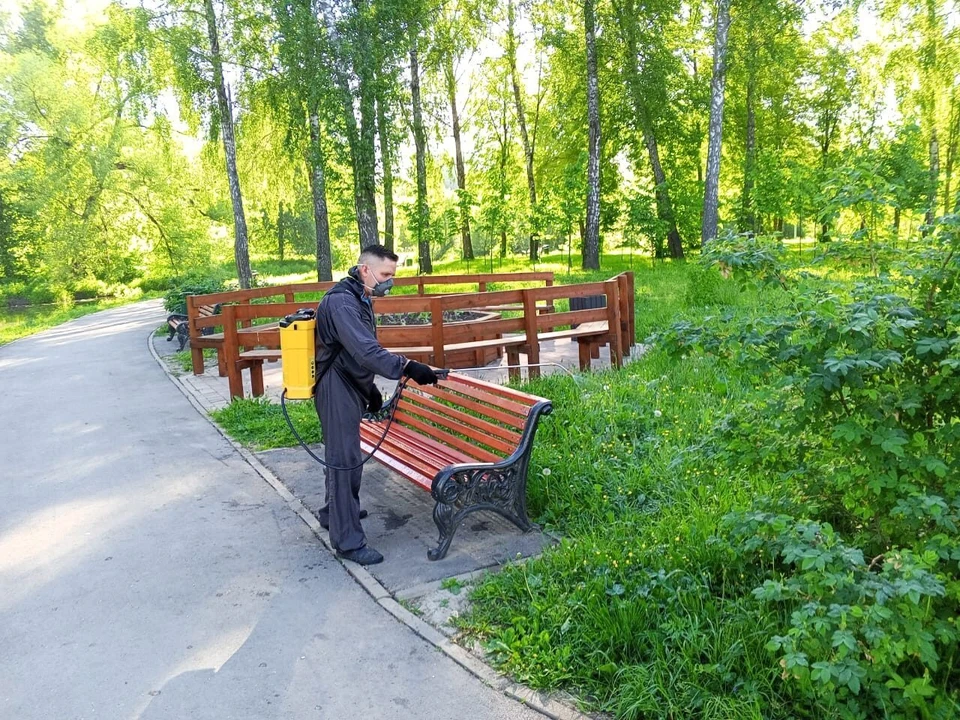 В грядущие выходные в тульских парках продолжает обработку от клещей