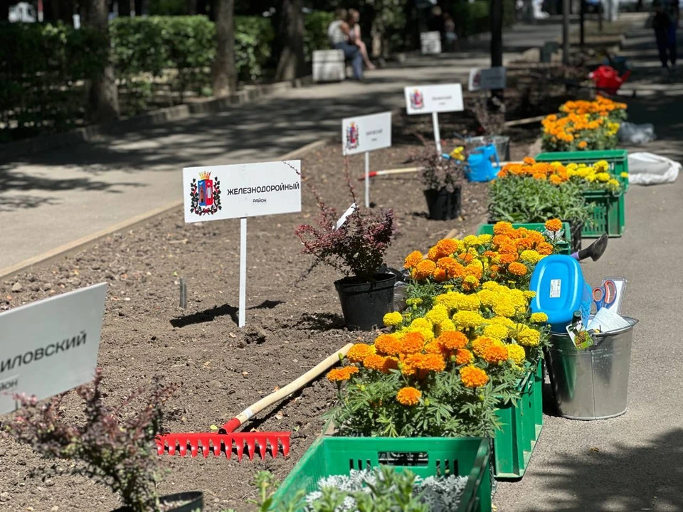 В городком сквере прошло состязание среди городских озеленителей. Фото: пресс-служба городской администрации