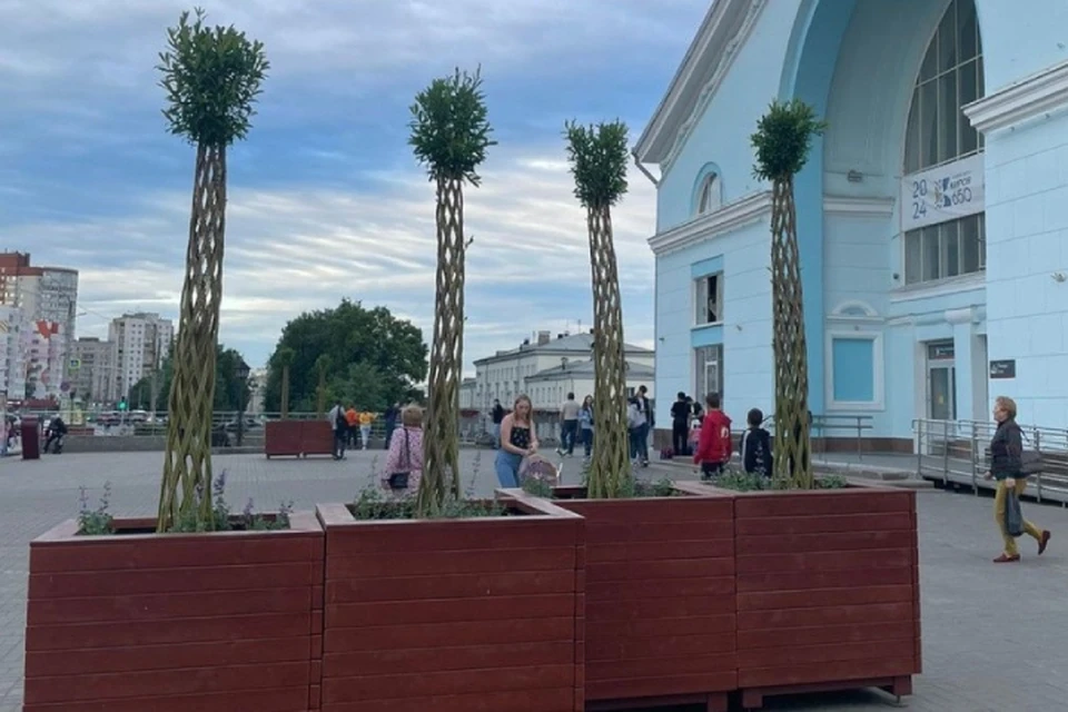 Необычные растения появились в разных точках города. Фото: киров.рф