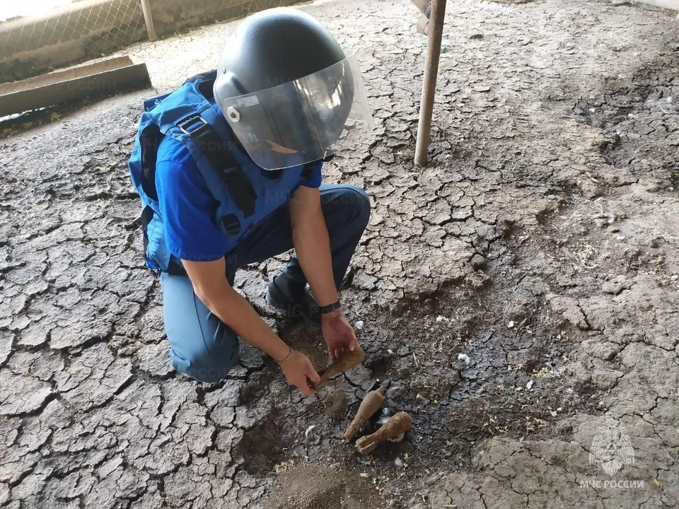 Фото: пресс-служба ГУ МЧС по РК
