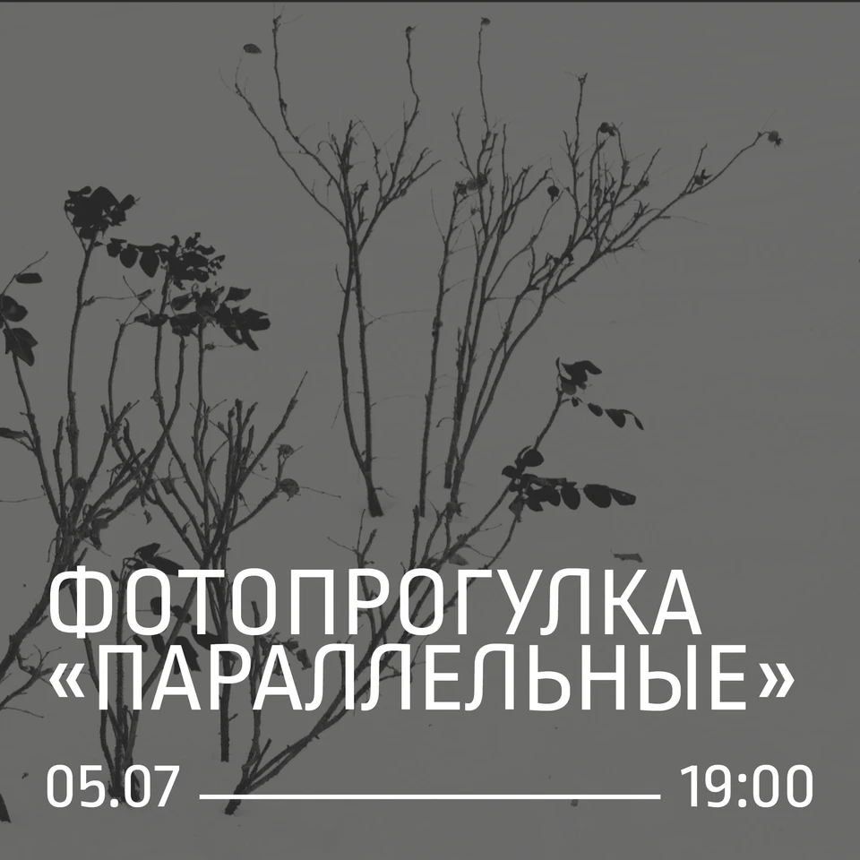 Самарцы смогут посетить фотопрогулку. Фото: Музей-галерея "Заварка"