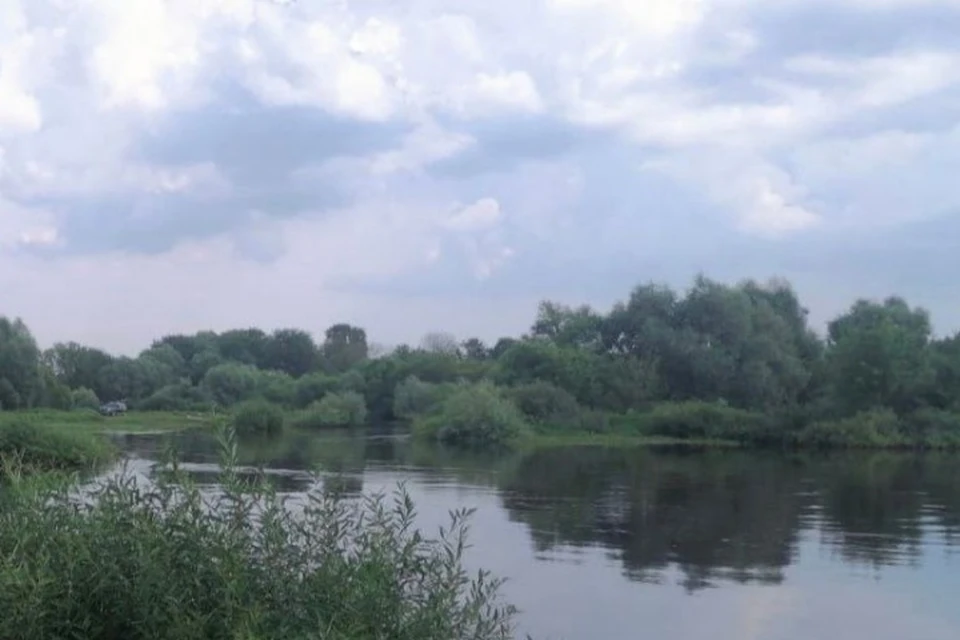 Фото: пресс-служба ГУ МЧС России по Брянской области.