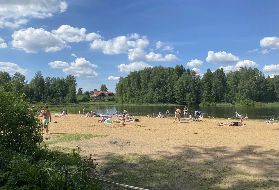 Прохлада последних дней в Тюменской области прервется 30-градусной жарой.