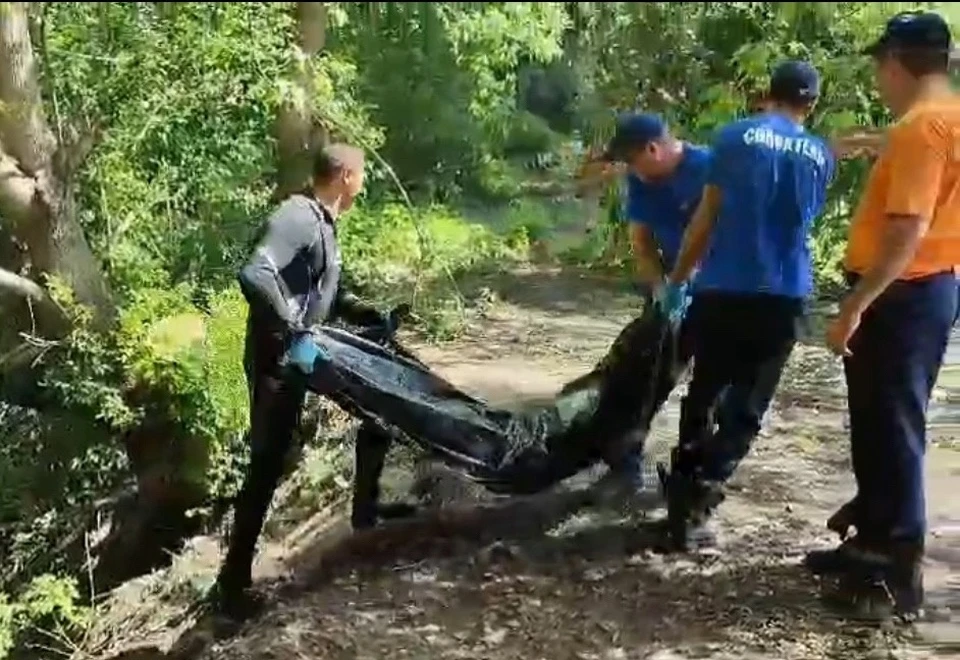 В районе сбросного канала озера Тёплого обнаружено тело человека.