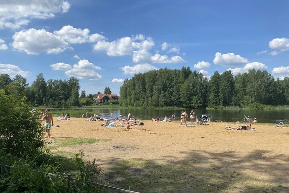 Лето может стать настоящим испытанием из-за жары.