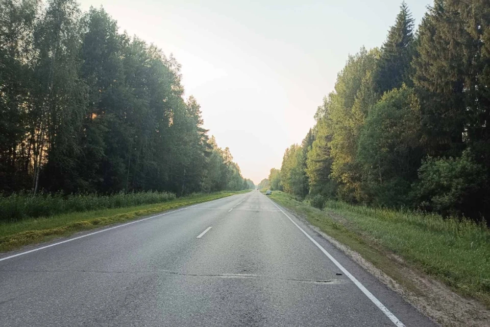Авария случилась на дороге «Яранск - Кикнур - граница с Нижегородской областью» . Фото: ГИБДД Кировской области