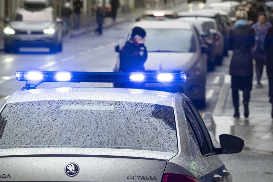 Пьяный водитель влетел в толпу на празднике в Нью-Йорке, двое погибли
