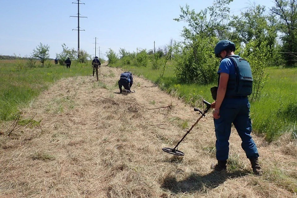 В ДНР за сутки уничтожили более 85 единиц взрывоопасных предметов. Фото: МЧС России по ДНР