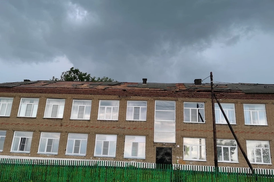 Сильный ветер вырвал тополя с корнем в Искитимском районе Новосибирской области. Фото: администрация Искитимского района.