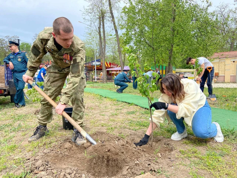 Акция «Сад памяти» продлится до конца года. ФОТО: тг-канал Евгения Балицкого