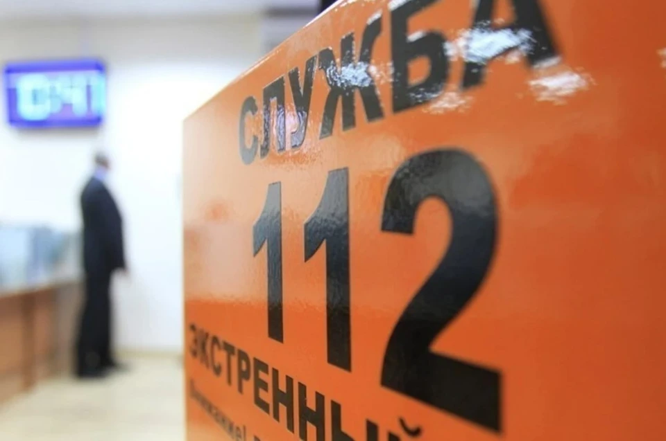 Лесной пожар потушили